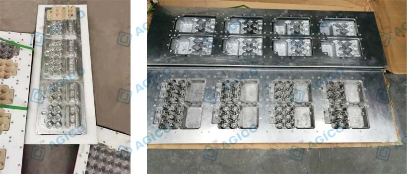 egg tray mold egg tray mold