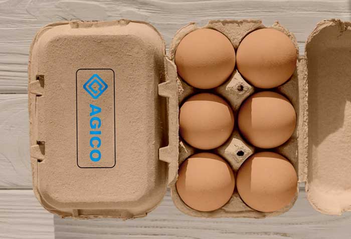 egg tray egg tray